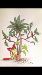 Size: 670x1191 | Tagged: safe, artist:thefriendlyelephant, derpibooru import, apple bloom, bird, earth pony, parrot, pony, twilight time, coconut, coconut tree, elephant ear plant, female, filly, foal, happy, palm tree, plant, pot, potion, potted plant, roots, scene interpretation, smiling, solo, traditional art, tree