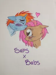 Size: 774x1032 | Tagged: artist:finnfangirl, babs seed, bips, blushing, crying, derpibooru import, female, heart, hilarious in hindsight, kissing, male, safe, shipping, snips, straight