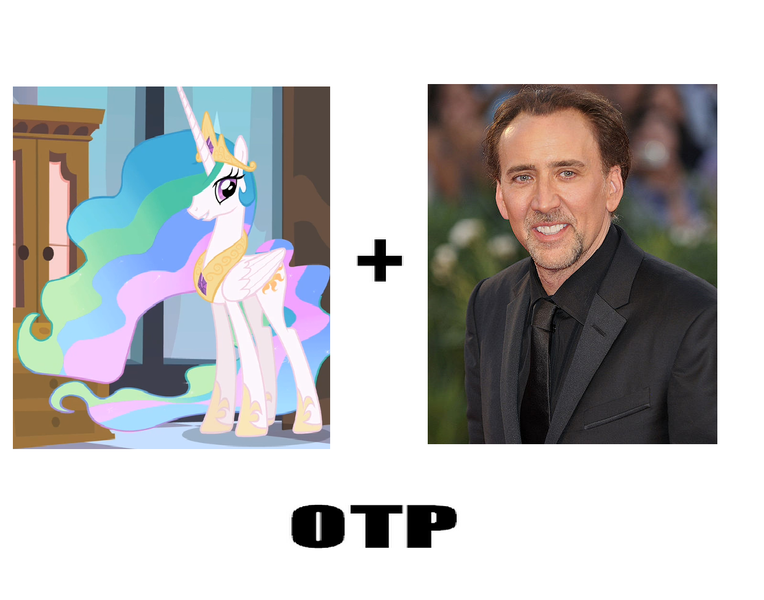 Size: 1245x978 | Tagged: cagelestia, crack shipping, derpibooru import, exploitable meme, human, meme, nicolas cage, otp, princess celestia, safe, shipping