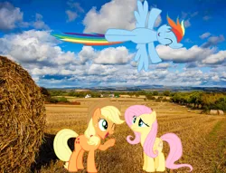 Size: 1007x768 | Tagged: safe, artist:filpapersoul, artist:schrodinger-excidium, artist:teentrunks4, derpibooru import, applejack, fluttershy, rainbow dash, field, flying, hay, houses, irl, photo, ponies in real life, tree, vector