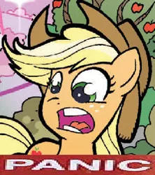 Size: 269x303 | Tagged: applejack, artist:tonyfleecs, derpibooru import, expand dong, exploitable meme, faic, image macro, meme, panic, reaction image, safe, solo, spoiler:comic, spoiler:comicff2, why.jpg