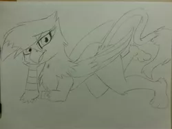 Size: 3264x2448 | Tagged: safe, derpibooru import, oc, oc:skye snowtail, unofficial characters only, gryphon, monochrome, outline, sketch, solo, traditional art