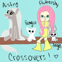 Size: 600x600 | Tagged: aisling, angel bunny, artist:catz537, clothes, crossover, derpibooru import, dress, fluttershy, human, humanized, pangur ban, ponified, safe, secret of kells