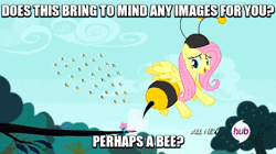 Size: 495x278 | Tagged: all new, animal costume, animated, bee, bee costume, beekini, butt shake, clothes, costume, derpibooru import, edit, edited screencap, flutterbee, fluttershy, hubble, hub logo, it ain't easy being breezies, plot, quote, safe, screencap, seabreeze, teasing animators, the hub