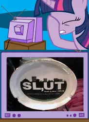 Size: 563x771 | Tagged: derpibooru import, exploitable meme, facehoof, fail, failure, failure makes vulgar, meme, obligatory pony, safe, salt lake city, slut, tv meme, twilight sparkle, utah, vulgar, you had one job