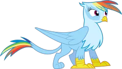 Size: 10656x6000 | Tagged: safe, artist:dasprid, derpibooru import, rainbow dash, gryphon, absurd resolution, griffonized, rainbow griffon, recolor, simple background, solo, species swap, transparent background, vector