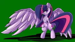 Size: 1024x579 | Tagged: safe, artist:madacon, derpibooru import, twilight sparkle, twilight sparkle (alicorn), alicorn, pony, belly button, bipedal, chest fluff, female, human shoulders, large wings, mare, solo, wings