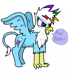 Size: 470x480 | Tagged: safe, artist:bronyponyguy, derpibooru import, rainbow dash, classical hippogriff, gryphon, hippogriff, classical hippogriffied, glare, griffonized, grin, hippogriffied, rainbow griffon, simple background, smirk, solo, species swap, spread wings, white background