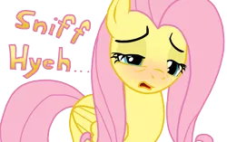 Size: 4000x2516 | Tagged: artist:masterxtreme, cold, crying, cute, derpibooru import, fetish, fluttershy, pre sneeze, ready to sneeze, red nosed, safe, sick, sneezing, sneezing fetish, solo