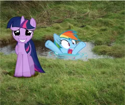 Size: 3056x2576 | Tagged: artist:fire-d-brony540, derpibooru import, drowning, irl, photo, ponies in real life, rainbow dash, safe, swimming, twilight sparkle, water