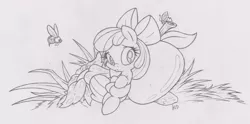 Size: 3022x1502 | Tagged: apple bloom, artist:dfectivedvice, bee, derpibooru import, grayscale, ladybug, monochrome, safe, sketch, solo, tiny, traditional art