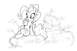 Size: 8614x5735 | Tagged: absurd resolution, artist:dfectivedvice, black and white, derpibooru import, grayscale, insect, monochrome, neo noir, partial color, pinkie pie, safe, sitting, sketch, solo, traditional art, wip