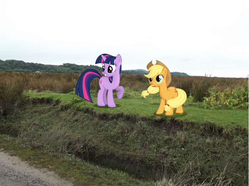 Size: 2532x1896 | Tagged: applejack, artist:fire-d-brony540, derpibooru import, irl, photo, ponies in real life, safe, twilight sparkle