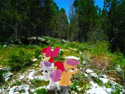 Size: 2592x1944 | Tagged: apple bloom, artist:flutterflyraptor, artist:shadowdark3, artist:stayeend, cutie mark crusaders, derpibooru import, forest, irl, lost, photo, ponies in real life, safe, scootaloo, snow, sweetie belle, vector