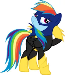 Size: 833x959 | Tagged: artist needed, safe, derpibooru import, rainbow dash, pegasus, pony, batgirl, dc comics, female, hooves, mare, simple background, smiling, solo, vector, white background, wings