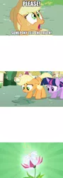 Size: 990x2780 | Tagged: applejack, blank, comic, derpibooru import, edit, edited screencap, exploitable, exploitable meme, flower, meme, safe, screencap, screencap comic, sunburst background, template, the cutie pox, truth meme, twilight sparkle