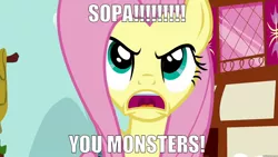 Size: 1280x720 | Tagged: derpibooru import, drama, edit, edited screencap, fluttershy, obligatory pony, politics, putting your hoof down, safe, screencap, solo, sopa