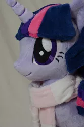 Size: 662x1000 | Tagged: artist:makeshiftwings30, derpibooru import, irl, photo, plushie, safe, twilight sparkle