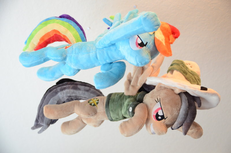 Size: 800x530 | Tagged: artist:makeshiftwings30, daring do, derpibooru import, irl, photo, plushie, rainbow dash, safe