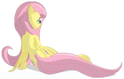 Size: 3376x2154 | Tagged: artist:noctrl, back, derpibooru import, fluttershy, safe, sitting, solo