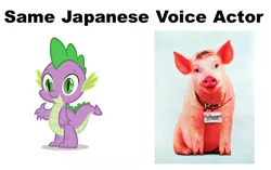 Size: 856x536 | Tagged: babe, derpibooru import, exploitable meme, japanese, meme, motoko kumai, pig, safe, same voice actor, spike