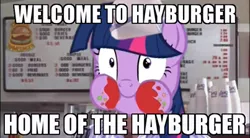 Size: 403x223 | Tagged: safe, derpibooru import, twilight sparkle, twilight sparkle (alicorn), alicorn, pony, twilight time, all that, dialogue, female, good burger, hay burger, image macro, ketchup, mare, meme, solo, twilight burgkle