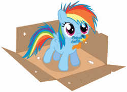 Size: 640x460 | Tagged: dead source, safe, artist:chubble-munch, artist:ianimateyourpictures, derpibooru import, rainbow dash, spitfire, animated, box, cute, dashabetes, doll, filly, filly rainbow dash, foal, solo