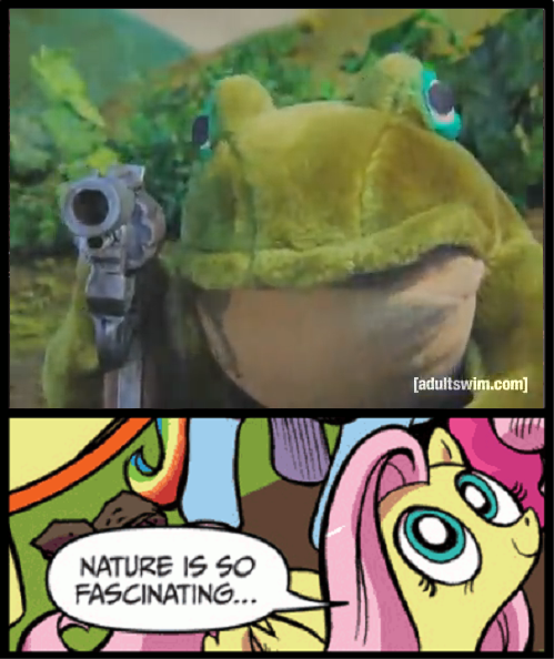 Size: 499x594 | Tagged: bullfrog, derpibooru import, exploitable meme, fluttershy, gun, meme, nature is so fascinating, obligatory pony, questionable, robot chicken, stop motion