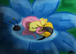 Size: 1748x1240 | Tagged: animal costume, artist:mrasianhappydude, bee, bee costume, clothes, costume, curled up, cute, derpibooru import, eyes closed, floppy ears, flower, flutterbee, fluttershy, micro, prone, safe, shyabetes, sleeping, solo