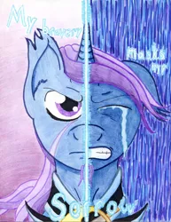 Size: 786x1016 | Tagged: safe, artist:the1king, derpibooru import, oc, oc:azure night, unofficial characters only, pony, unicorn, armor, crying, duality, guard, solo, two sided posters