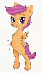 Size: 1050x1800 | Tagged: safe, artist:zokkili, derpibooru import, scootaloo, pegasus, pony, semi-anthro, belly, belly button, bipedal, cute, cutealoo, grin, looking at you, raised eyebrow, simple background, smiling, solo, white background