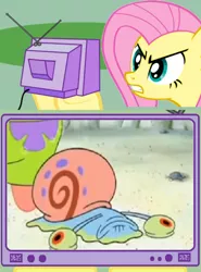 Size: 442x598 | Tagged: angry, animal abuse, derpibooru import, exploitable meme, fluttershy, gary the snail, meme, mr. enter, obligatory pony, patrick star, pet sitter pat, safe, spongebob squarepants, take that, themysteriousmrenter, tv meme