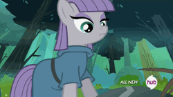 Size: 500x281 | Tagged: safe, derpibooru import, screencap, fluttershy, fuzzy legs, maud pie, spider, maud pie (episode), animated, cute, drool, eye shimmer, flower, hub logo, hubble, offering, present, smiling, spiderbro, talking, the hub