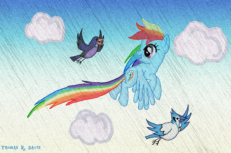 Size: 864x576 | Tagged: artist:thomasriordan, bird, cloud, cloudy, derpibooru import, flying, rainbow dash, safe, solo