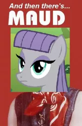 Size: 248x378 | Tagged: safe, derpibooru import, maud pie, meme