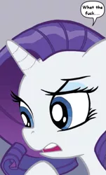 Size: 393x649 | Tagged: derpibooru import, idw, meme, rarity, reaction image, safe, solo, vulgar, wtf