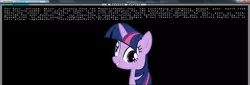 Size: 1920x651 | Tagged: artist:greyone, derp, derpibooru import, dwarf fortress, grin, pentium iii, rng, safe, screencap, smiling, solo, text, twilight sparkle, wat