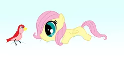 Size: 1245x641 | Tagged: artist:sawsta, bird, dead source, derpibooru import, fluttershy, safe, solo