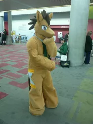 Size: 2736x3648 | Tagged: cosplay, derpibooru import, doctor whooves, fursuit, human, irl, irl human, photo, safe, time turner