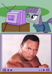 Size: 506x720 | Tagged: derpibooru import, dwayne johnson, exploitable meme, maud pie, meme, obligatory pony, pun, raised eyebrow, rock, safe, the rock, tv meme