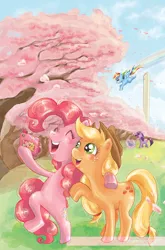 Size: 894x1358 | Tagged: safe, artist:peng-peng, derpibooru import, idw, applejack, pinkie pie, rainbow dash, twilight sparkle, pony, bipedal, book, camera, comic cover, cover, cover art, flower, flying, magic, selfie, washington d.c., washington monument