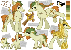 Size: 1280x903 | Tagged: safe, artist:ivyhaze, derpibooru import, oc, oc:erin go bragh, unofficial characters only, pony, age progression, braid, earring, lip piercing, male, necklace, nose ring, solo, stallion, unshorn fetlocks