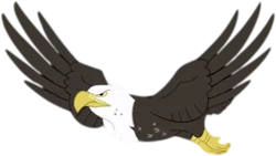 Size: 405x229 | Tagged: animal, artist:valinhya, bald eagle, bird, derpibooru import, eagle, edit, pinkie apple pie, safe, simple background, solo, spread wings, that friggen eagle, transparent background, vector, wings