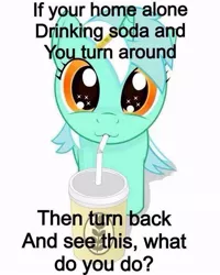 Size: 768x960 | Tagged: artist needed, source needed, safe, derpibooru import, lyra heartstrings, :3, bronybait, cup, cute, image macro, looking at you, looking up, lyrabetes, meme, misspelling, misspelling of you're, smiling, solo, straw, what do, wingding eyes