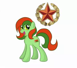 Size: 1928x1700 | Tagged: artist:cogwheel98, belarus, derpibooru import, nation ponies, safe, solo