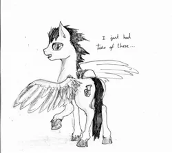 Size: 949x842 | Tagged: safe, artist:ravetuba, derpibooru import, oc, unofficial characters only, pegasus, pony, monochrome, solo, taco, traditional art, wings