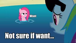 Size: 960x541 | Tagged: safe, derpibooru import, edit, edited screencap, screencap, pinkie pie, rainbow dash, earth pony, pegasus, pony, too many pinkie pies, bedroom eyes, duo, female, image macro, mare, meme, not sure if want, pond, varying degrees of want, want, water, wet mane