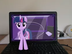 Size: 4608x3456 | Tagged: safe, artist:missbeigepony, artist:parclytaxel, derpibooru import, twilight sparkle, twilight sparkle (alicorn), alicorn, pony, bed, book, breaking the fourth wall, cap, computer, female, hat, irl, laptop computer, looking at you, mare, phone, photo, ponies in real life, smiling, solo, vector