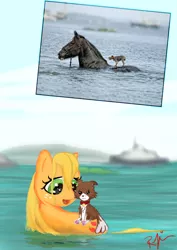 Size: 2480x3508 | Tagged: applejack, artist:zeroponydement, comparison, derpibooru import, dog, hatless, horse, missing accessory, photo, ponified, ponified animal photo, safe, winona