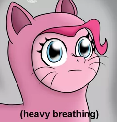 Size: 555x575 | Tagged: safe, artist:icebreak23, derpibooru import, pinkie pie, earth pony, pony, bust, cat costume, clothes, costume, descriptive noise, heavy breathing, meme, nose wrinkle, parody, pinkie cat, ponified meme, reaction image, solo, whiskers, wide eyes